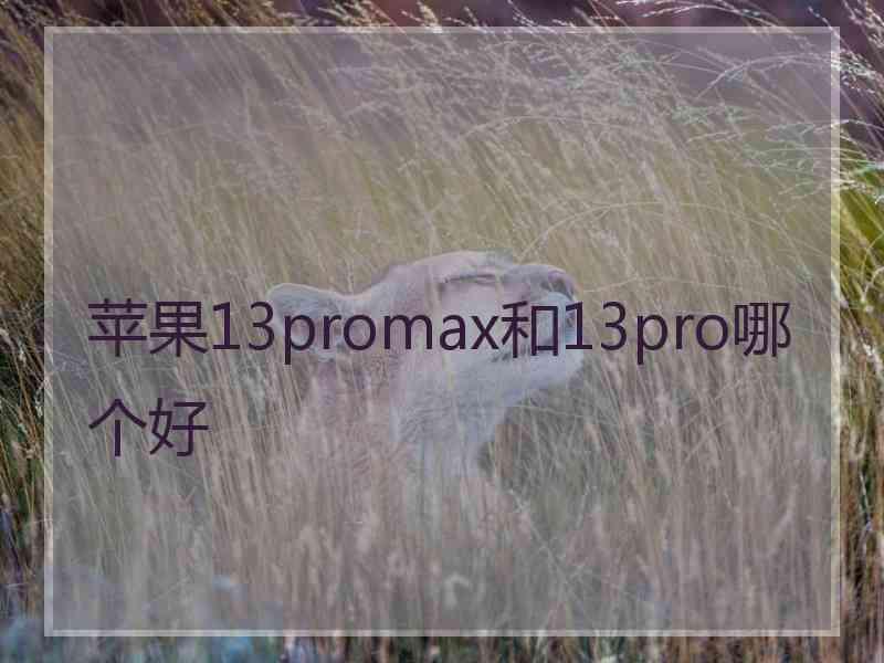 苹果13promax和13pro哪个好