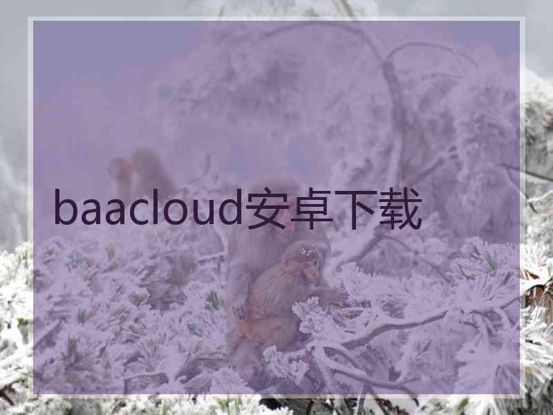 baacloud安卓下载