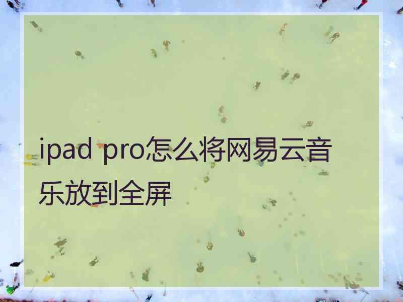 ipad pro怎么将网易云音乐放到全屏