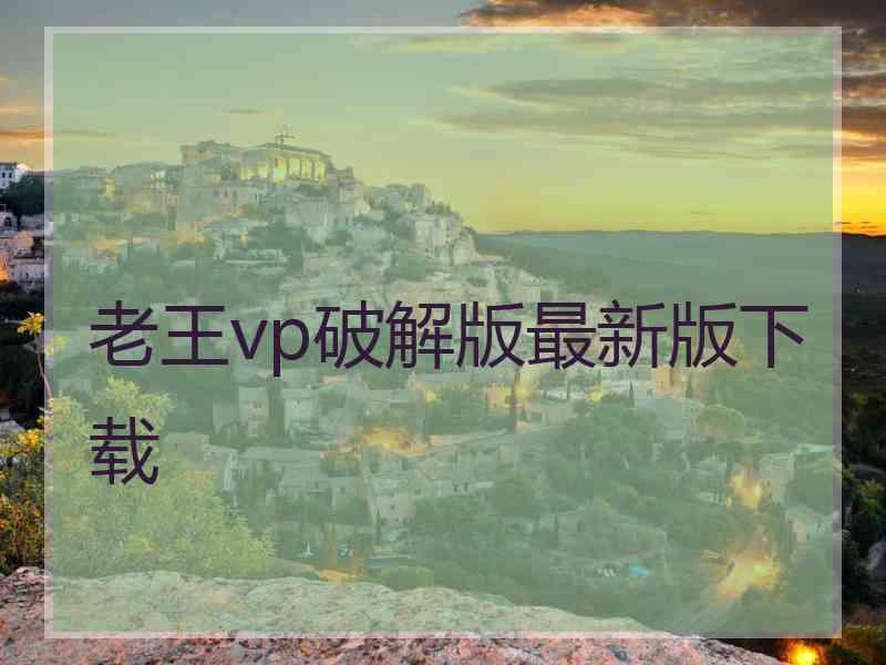 老王vp破解版最新版下载