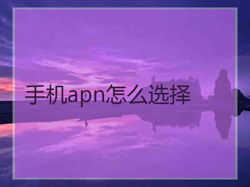 手机apn怎么选择