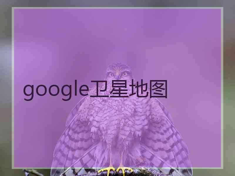 google卫星地图