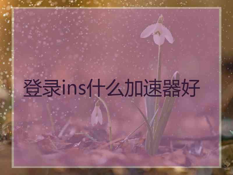 登录ins什么加速器好