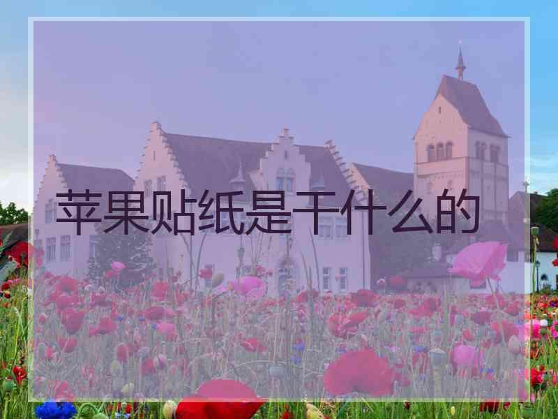 苹果贴纸是干什么的