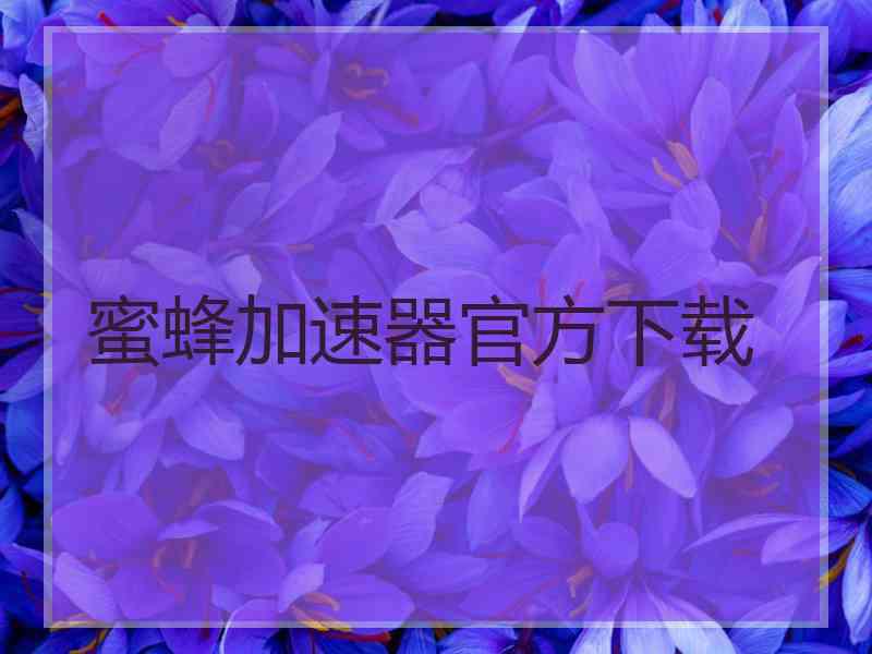 蜜蜂加速器官方下载