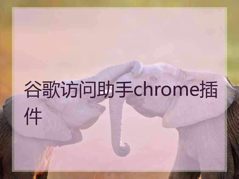 谷歌访问助手chrome插件