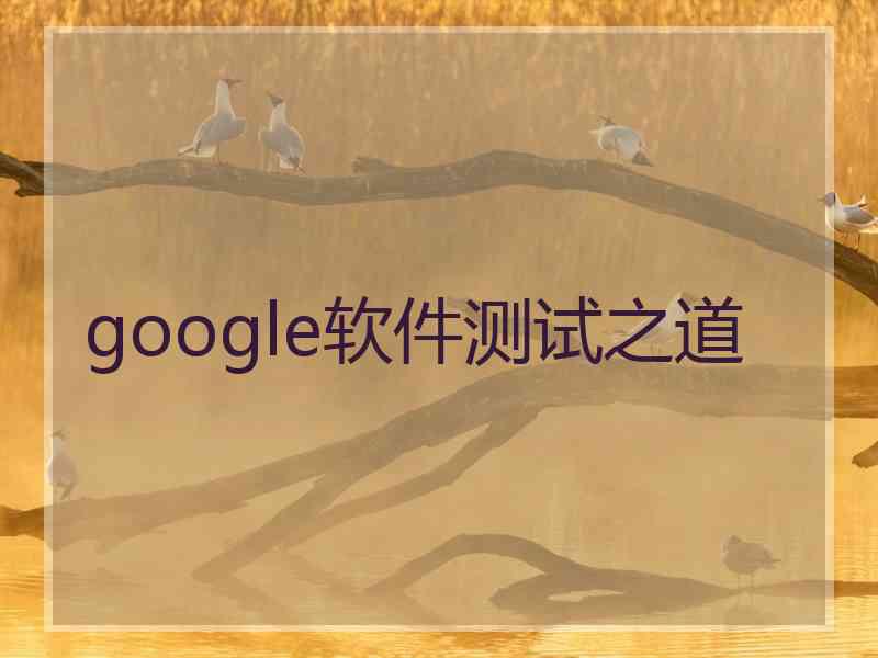 google软件测试之道