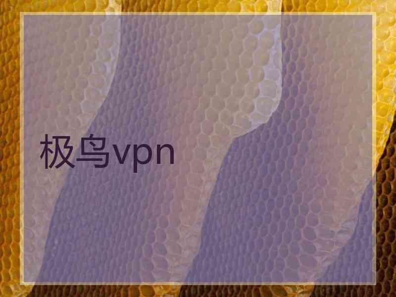 极鸟vpn