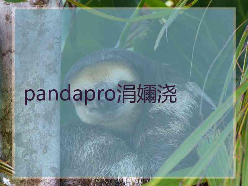 pandapro涓嬭浇