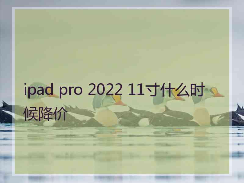 ipad pro 2022 11寸什么时候降价