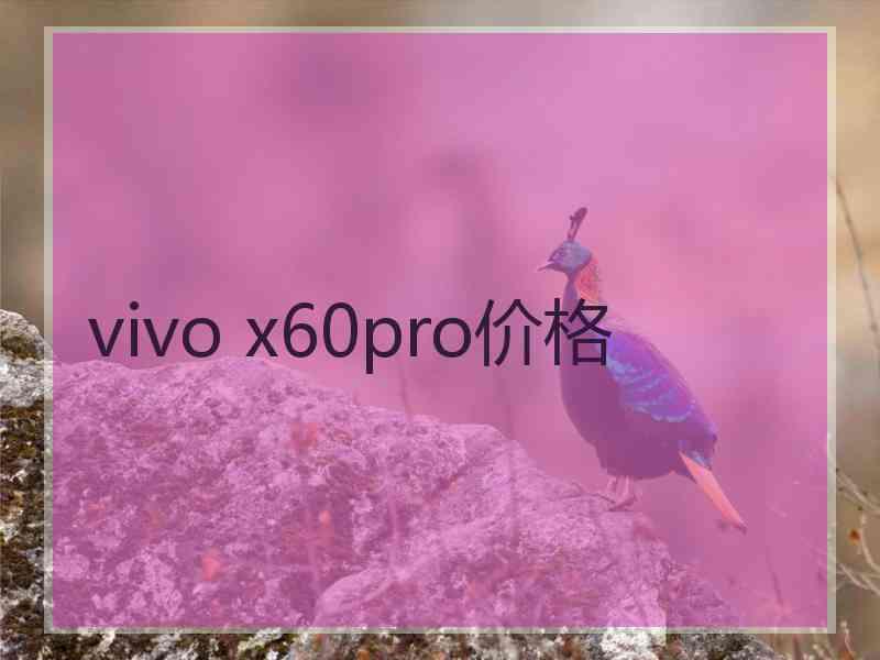 vivo x60pro价格