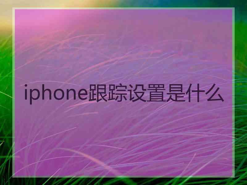 iphone跟踪设置是什么