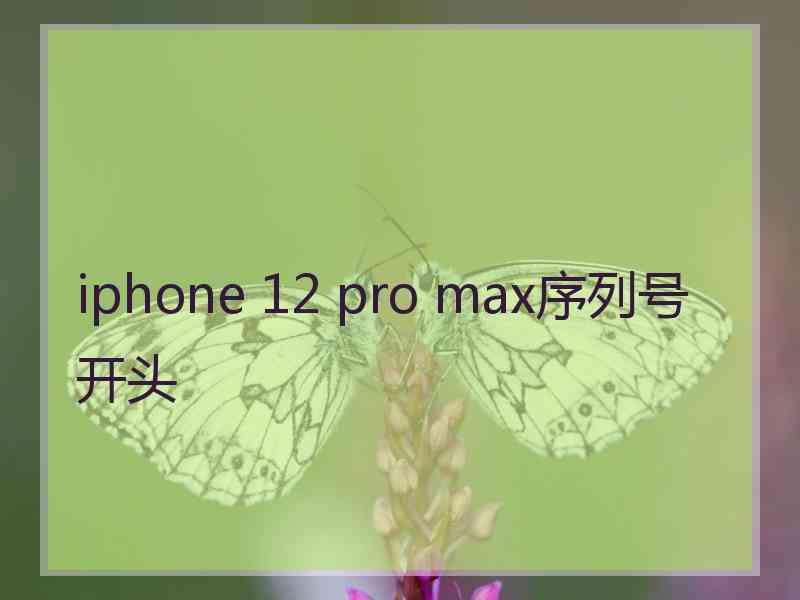 iphone 12 pro max序列号开头