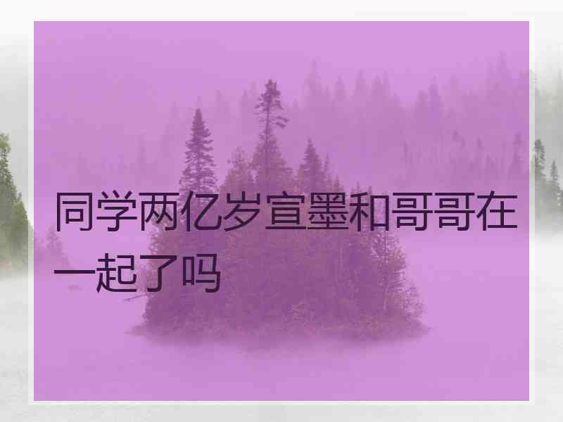 同学两亿岁宣墨和哥哥在一起了吗