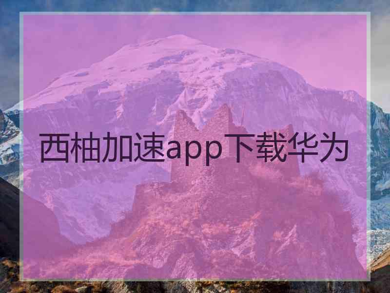 西柚加速app下载华为