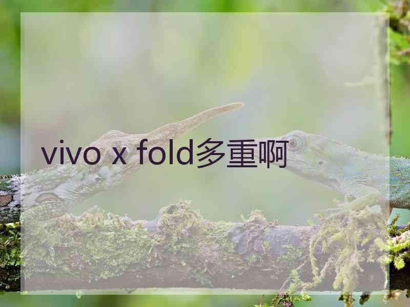 vivo x fold多重啊