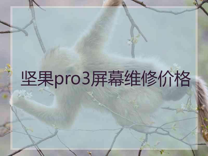 坚果pro3屏幕维修价格