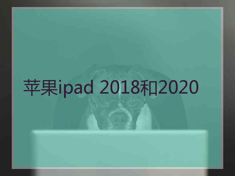 苹果ipad 2018和2020