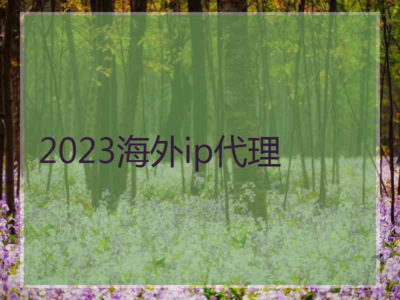 2023海外ip代理