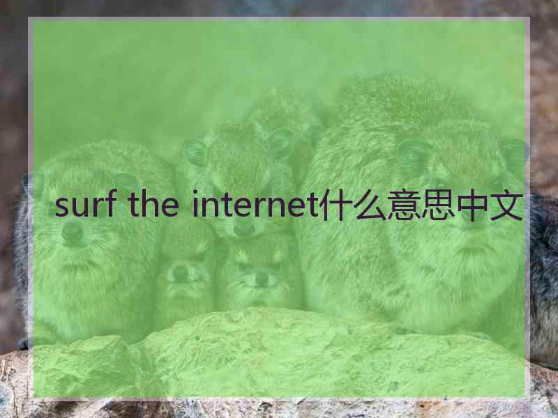 surf the internet什么意思中文