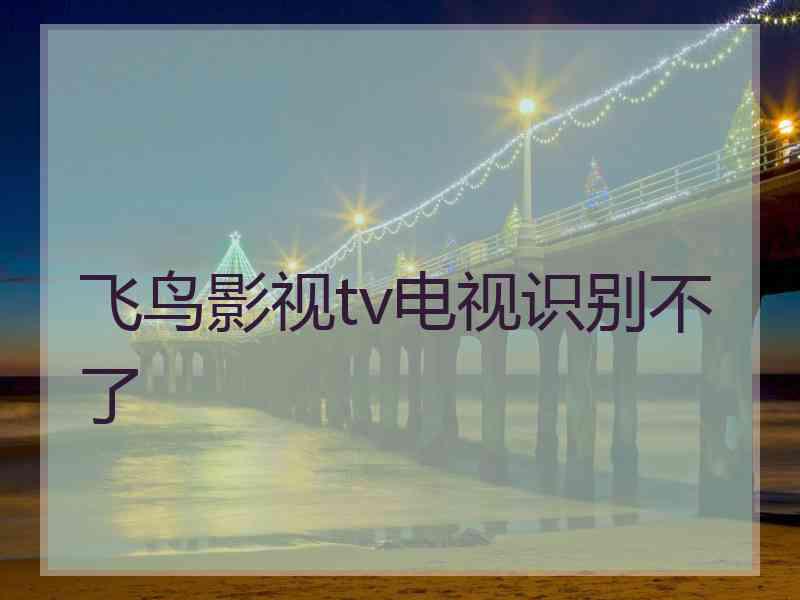 飞鸟影视tv电视识别不了