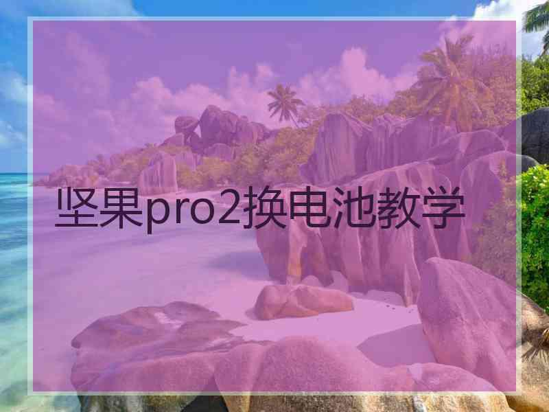 坚果pro2换电池教学