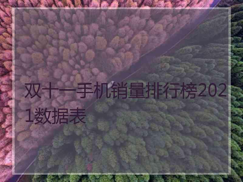 双十一手机销量排行榜2021数据表