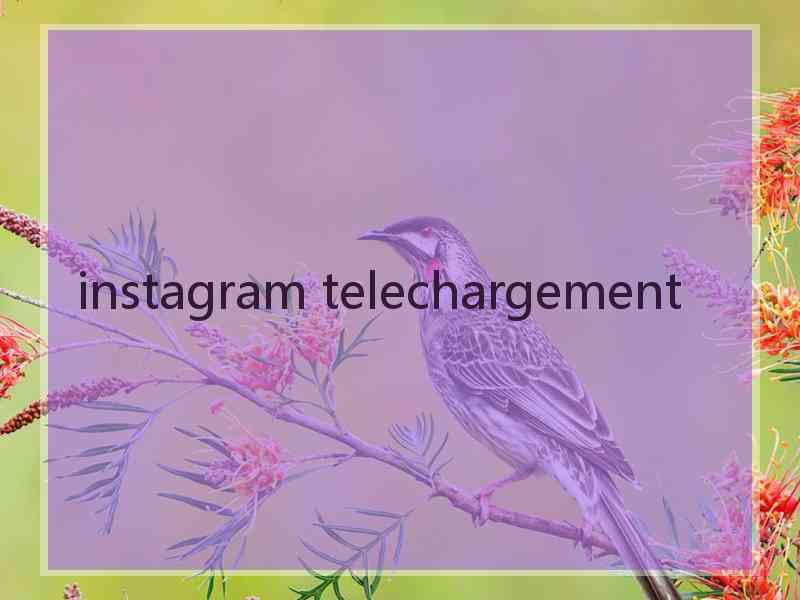 instagram telechargement