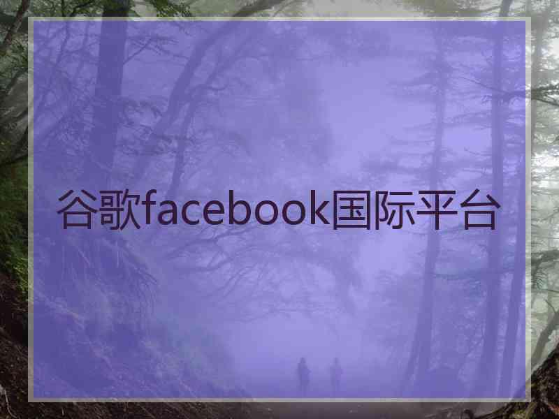 谷歌facebook国际平台