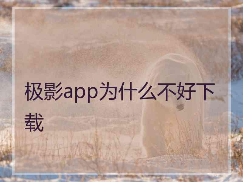 极影app为什么不好下载