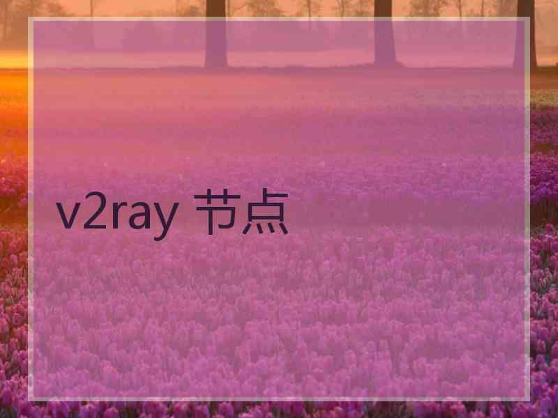 v2ray 节点