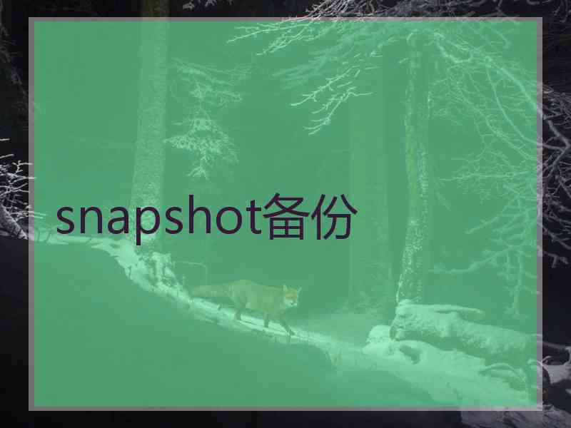 snapshot备份