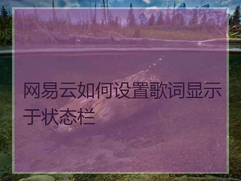 网易云如何设置歌词显示于状态栏