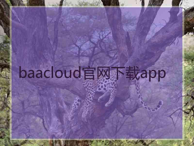 baacloud官网下载app