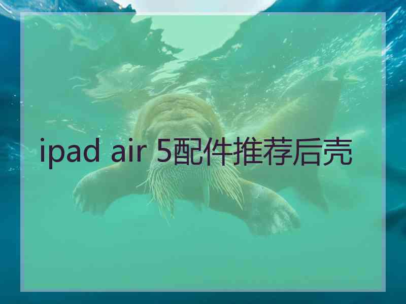 ipad air 5配件推荐后壳