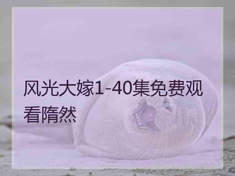 风光大嫁1-40集免费观看隋然