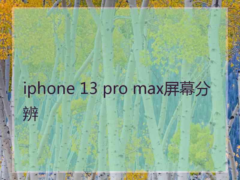 iphone 13 pro max屏幕分辨