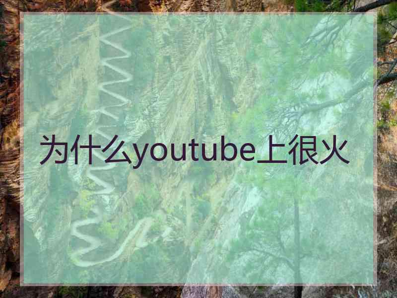 为什么youtube上很火