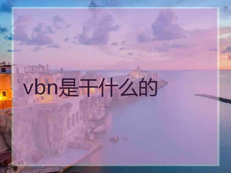 vbn是干什么的