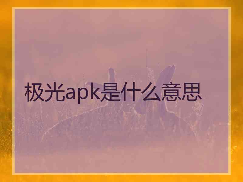 极光apk是什么意思