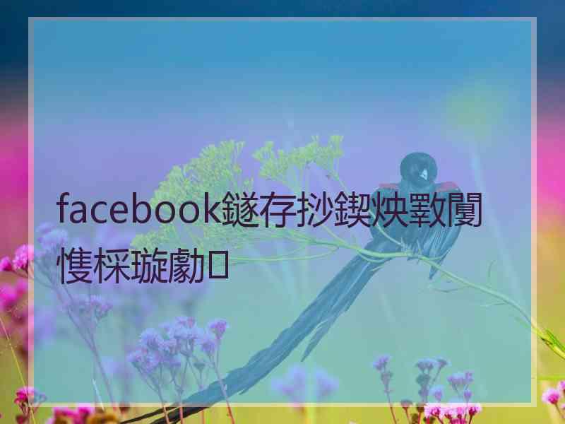 facebook鐩存挱鍥炴斁闅愯棌璇勮