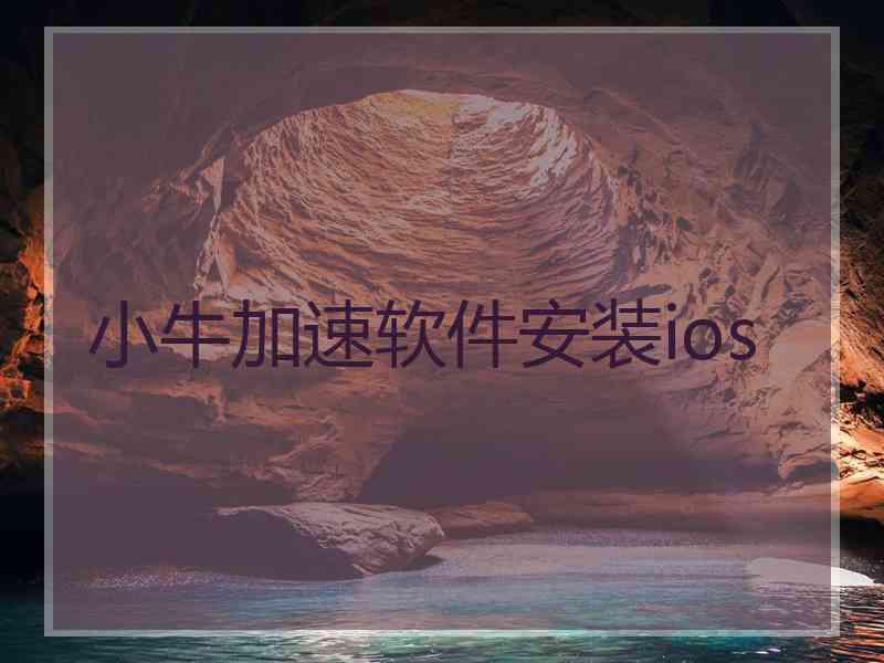 小牛加速软件安装ios