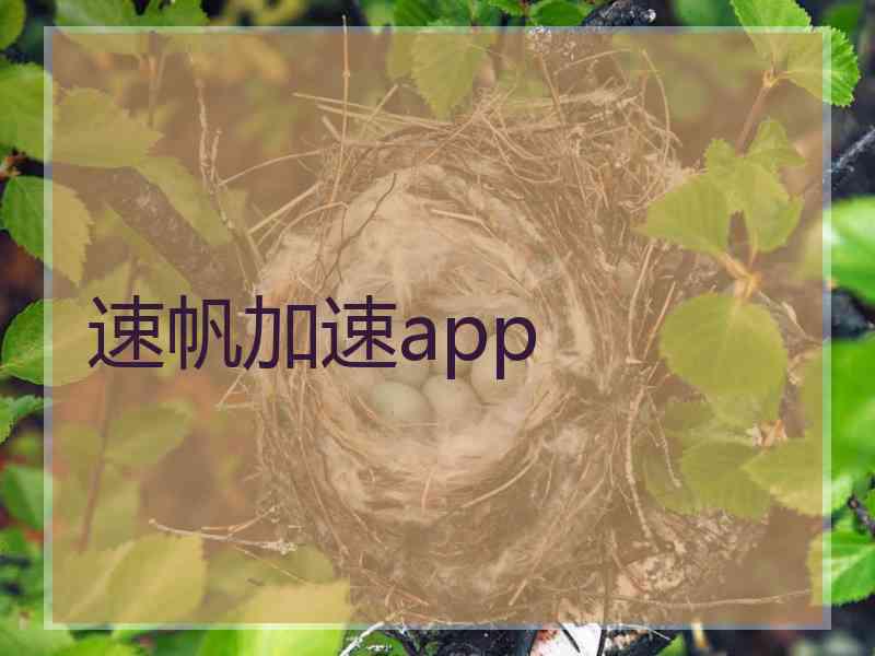 速帆加速app