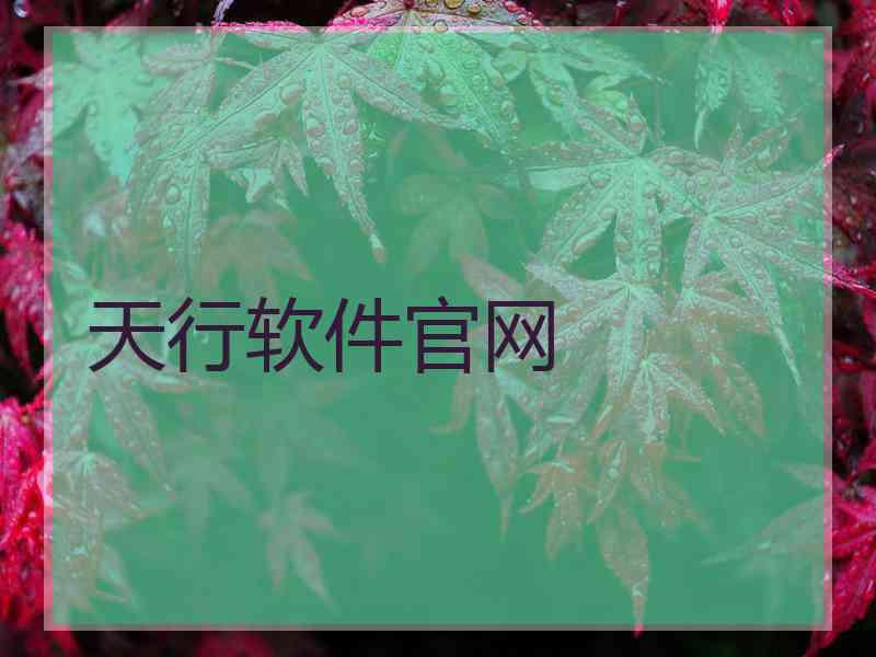 天行软件官网