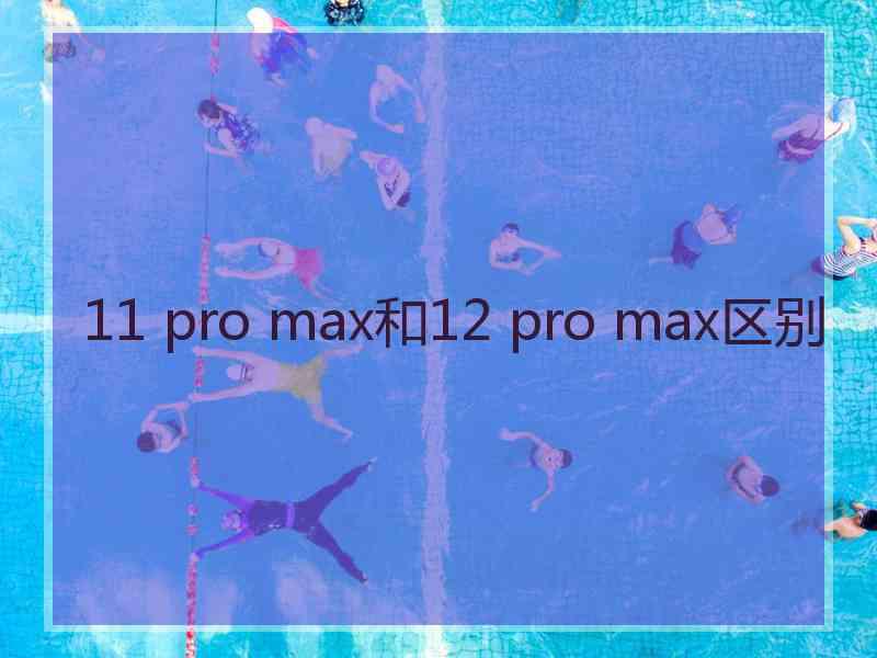 11 pro max和12 pro max区别