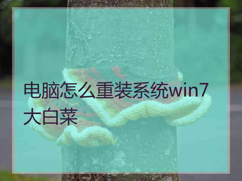 电脑怎么重装系统win7大白菜