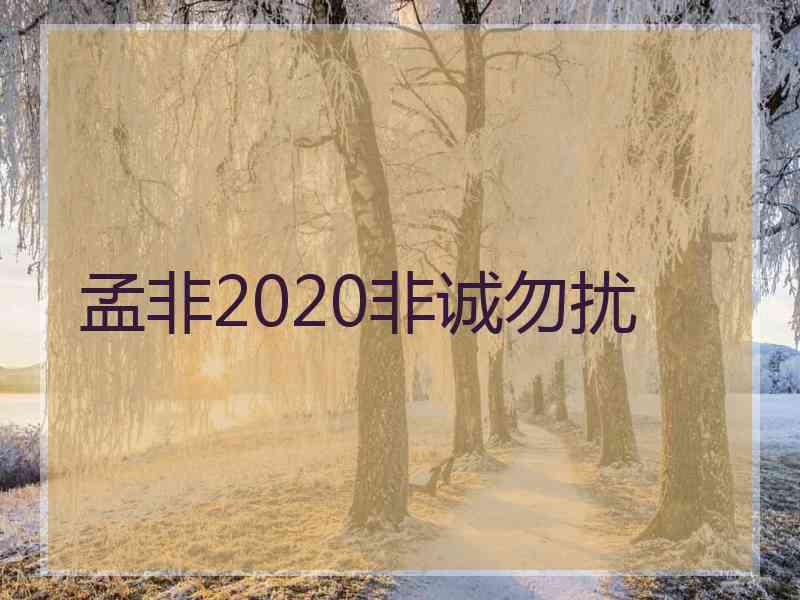 孟非2020非诚勿扰