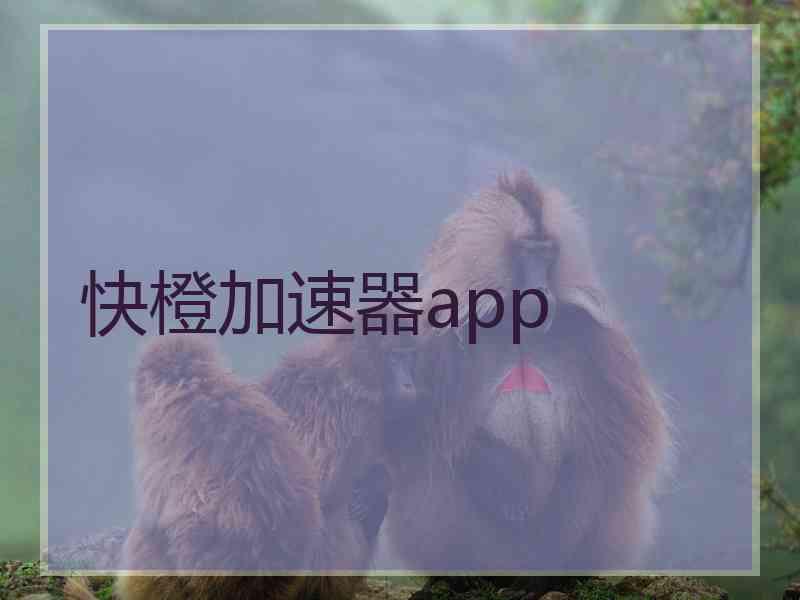 快橙加速器app