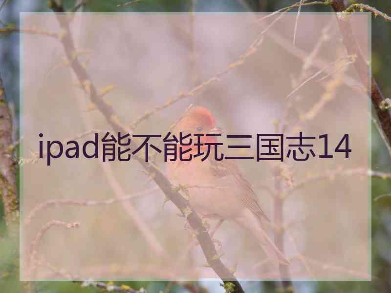 ipad能不能玩三国志14