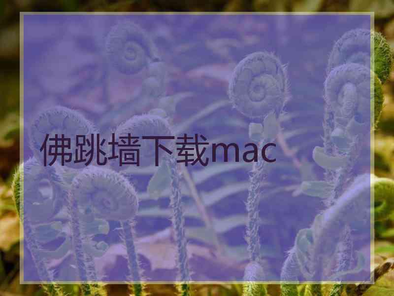 佛跳墙下载mac